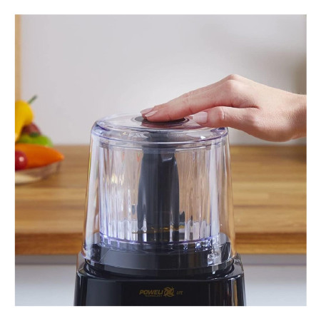 خردکن مولینکس مدل MOULINEX DP8108