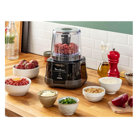 خردکن مولینکس مدل MOULINEX DP8108
