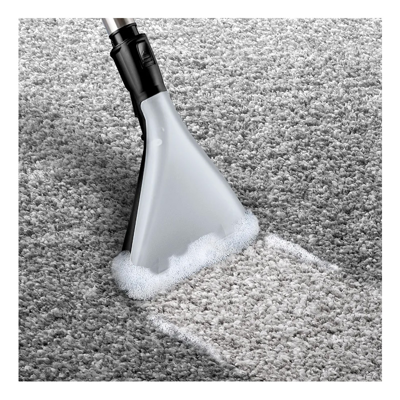 جاروبرقی آب و خاک بوش مدل BOSCH BWD421PET