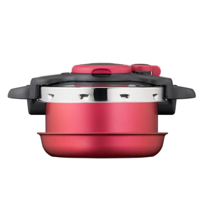 زودپز 4 لیتری تفال مدل TEFAL INGENIO ALL-IN-ONE