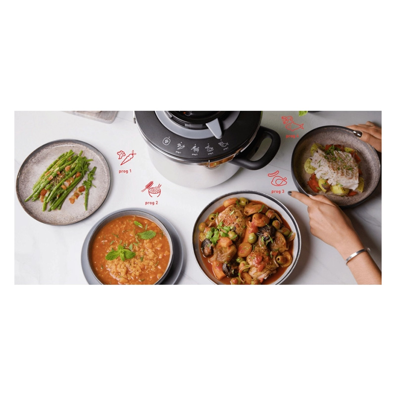 زودپز 6 لیتری تفال مدل TEFAL CLIPSO+ CHEF